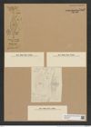 Rutilaria radiata Grove et Sturt. (de-Toni-Nr.: Genus 170, Species 4298) Zeichnungen Sammlung Grunow Nr. 7865 (NHMW-BOT-W0377121)